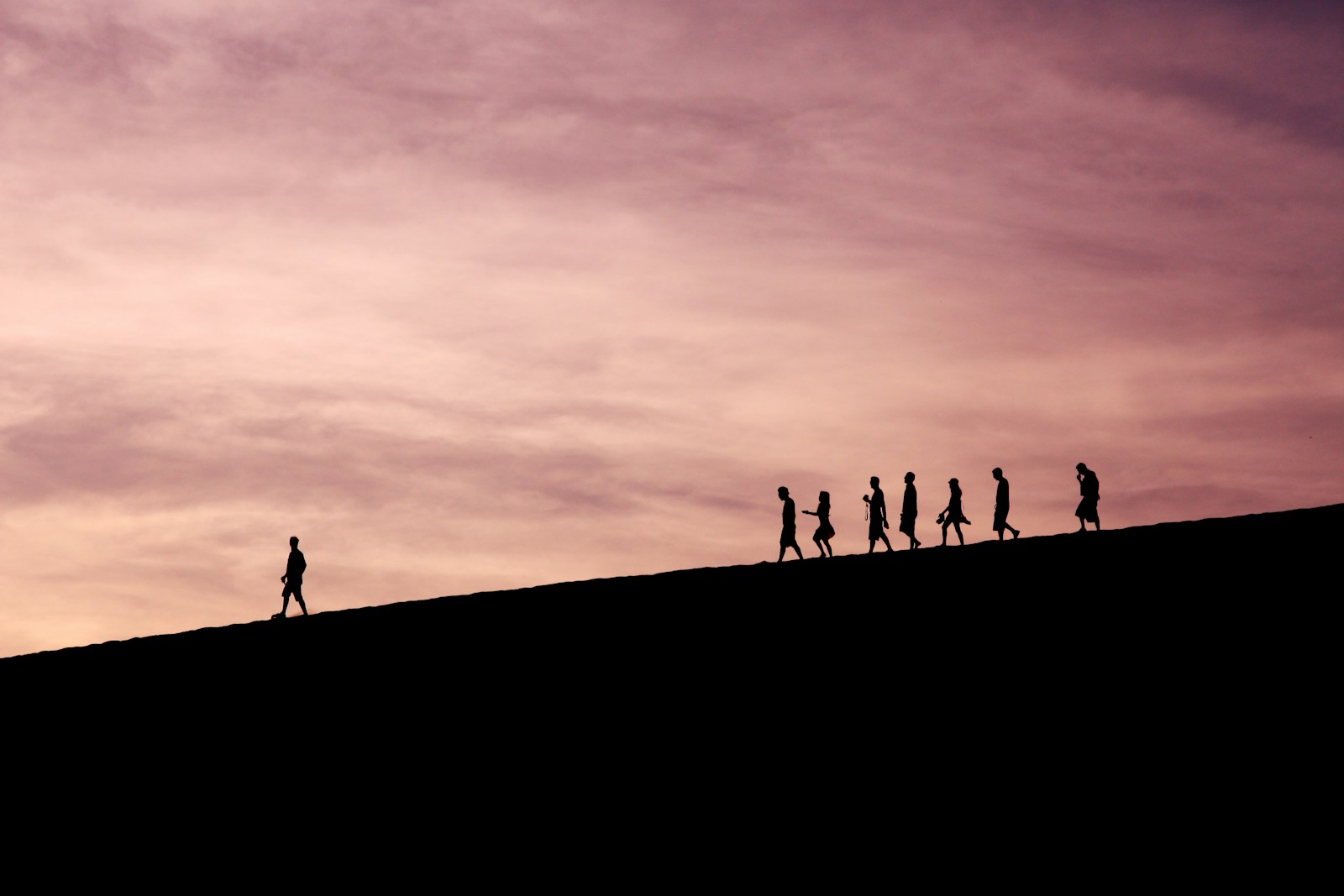follow the leader